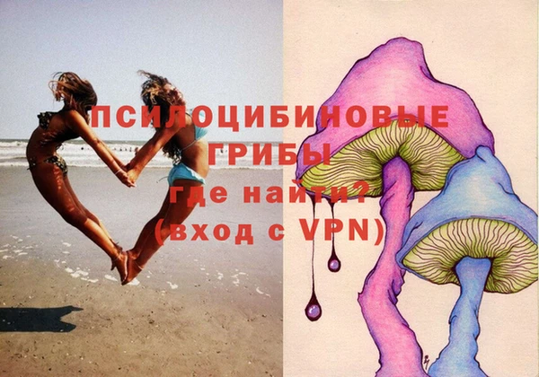 соль ск Бородино